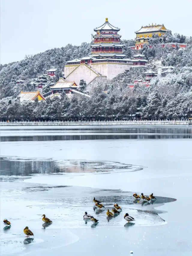 一下雪，頤和園就美成了活的水墨畫！這5個機位拍出冬日詩意大片