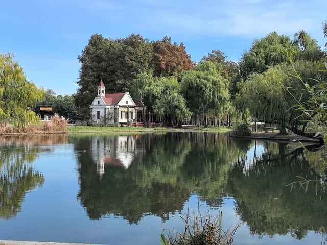 秋天的共青森林公園彷彿是一幅油畫 秋天的共青森林公園彷彿是一幅油畫