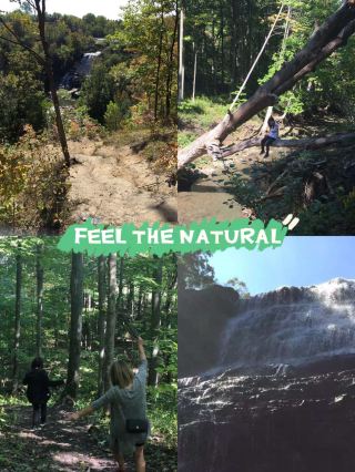 คู่มือเส้นทางเดินป่าง่ายๆ น้ำตกอัลเบียน