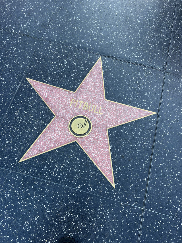 Los Angeles – Sunshine, City Lights & That Hollywood Dream