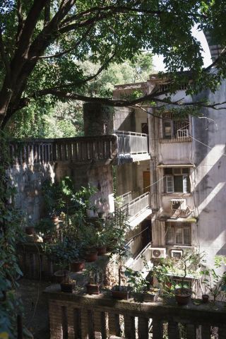 เดินเล่นท่องกาลเวลา | สำรวจร่องรอยแห่งกาลเวลาในตรอกเก่า #20