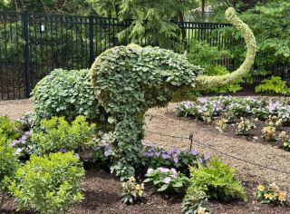 Franklin Park Conservatory, Unlock a Four-Season Aesthetic Feast