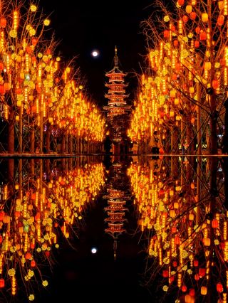 Spring Viewing at Longhua Temple｜Magnolia + Ancient Pagoda + Night Lights, One-Stop Blessing and Foodie Guide