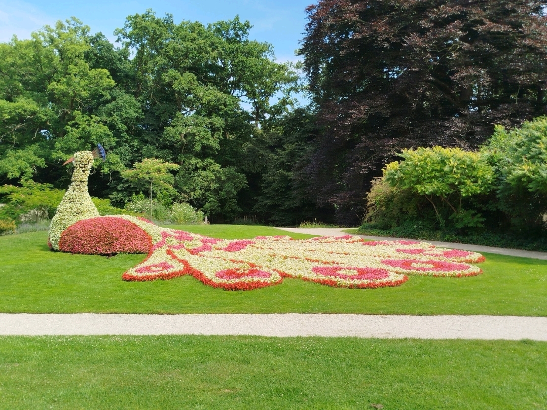 Arcen Castle: A Blooming Wonderland You Can't Miss 🌸🏰