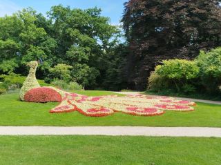 Arcen Castle: A Blooming Wonderland You Can't Miss 🌸🏰
