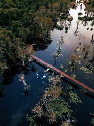 タイ版「アマゾン」、ラヨーン湿地公園は本当に過小評価されています！