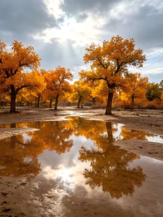 5-Day Autumn Poplar Adventure: Double Scenic Highlights in One Trip