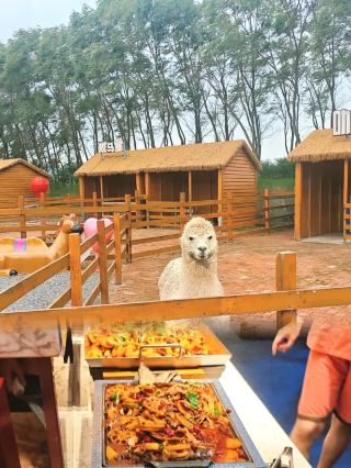 A must-see for summer trips with kids! High-speed train direct to a cool summer resort, family