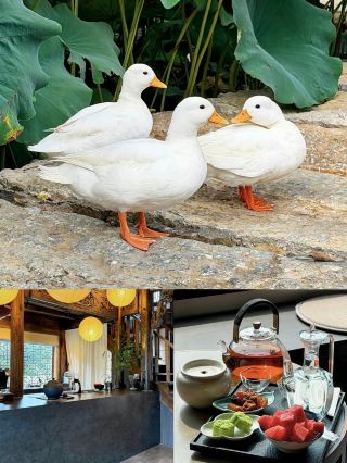 臨沂沂水｜沂蒙の山深くに隠れた「北の小さな江南」日帰り旅行ガイド