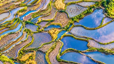 10月的元陽梯田才是秋天的天花板！美到失語 — traveler post in 大連