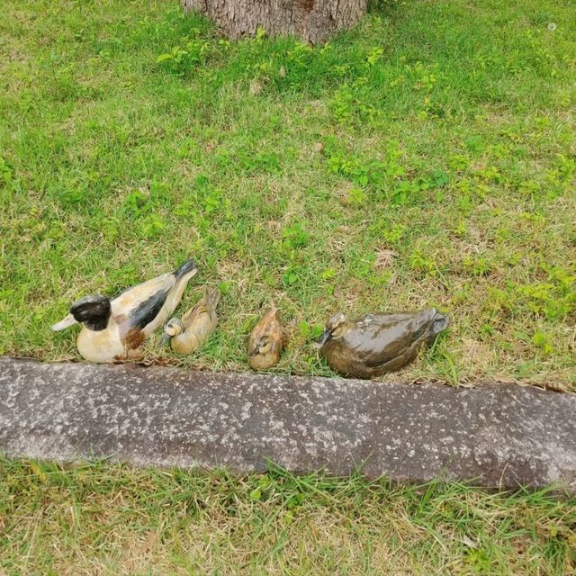 おとぎの国？野生動物を見た人間の感想がだいたい「美味しそう」