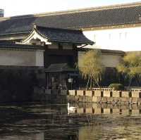 Palace right in the central of Tokyo 