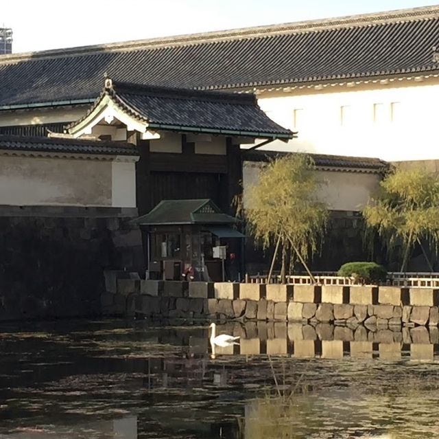 Palace right in the central of Tokyo 