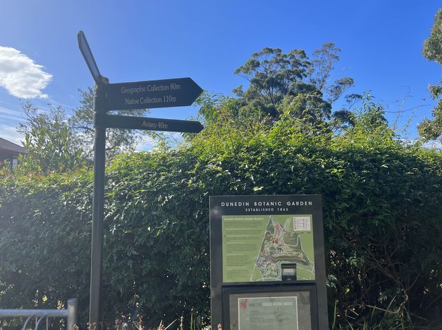 Dunedin Botanic Garden 但尼丁市區植物園，野餐散步好地方