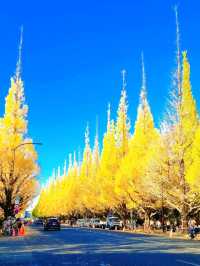 BEEN THERE, DONE THAT, AUTUMN IN JAPAN