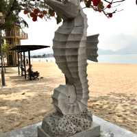 Educational/Storey Telling at Cafeteria Beach