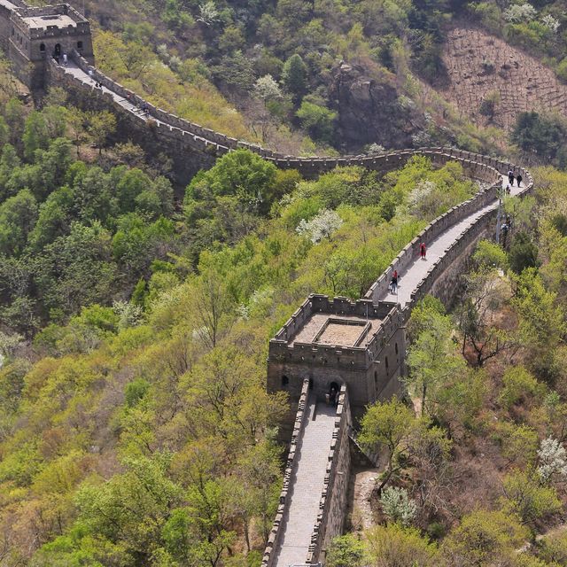 The spring color of Mutianyu Great Wall