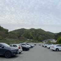 대전 근교, 금산 부모님과 꽃구경 하늘물빛정원