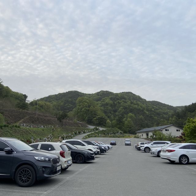 대전 근교, 금산 부모님과 꽃구경 하늘물빛정원