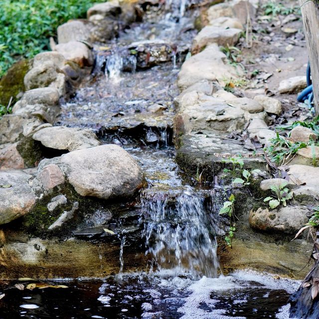 เตวแอ่ว คาเฟ่เฮาส์ @Take a Walk  