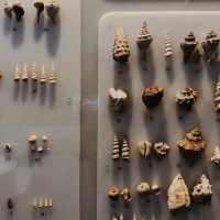 The Geological Museum of Bandung