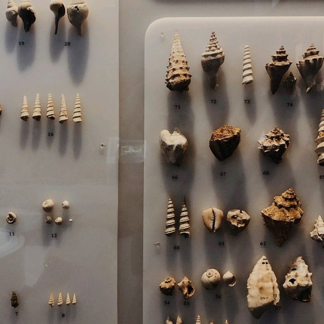 The Geological Museum of Bandung