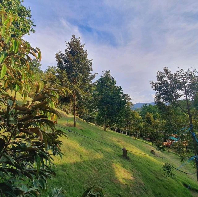 หลงสวน คาเฟ่ท์  ยกภูเขามาไว้ตรงนี้!!