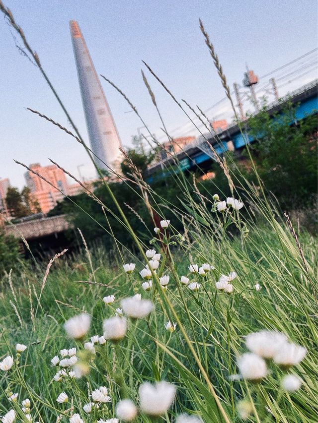 라이딩하기 좋은 한적한 한강🚲