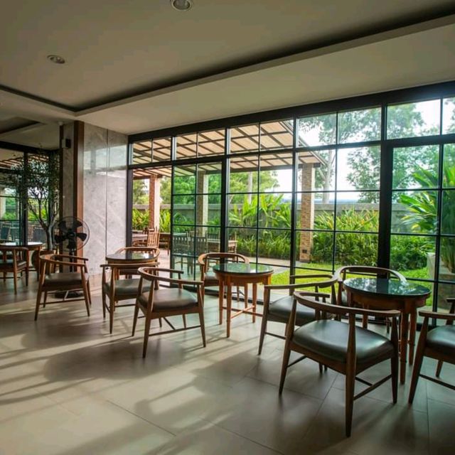 ที่พักหลักร้อย พัทยา Olive Tree Hotel
