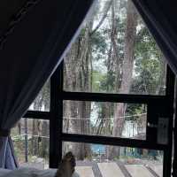 Enjoy the nature from room's wall