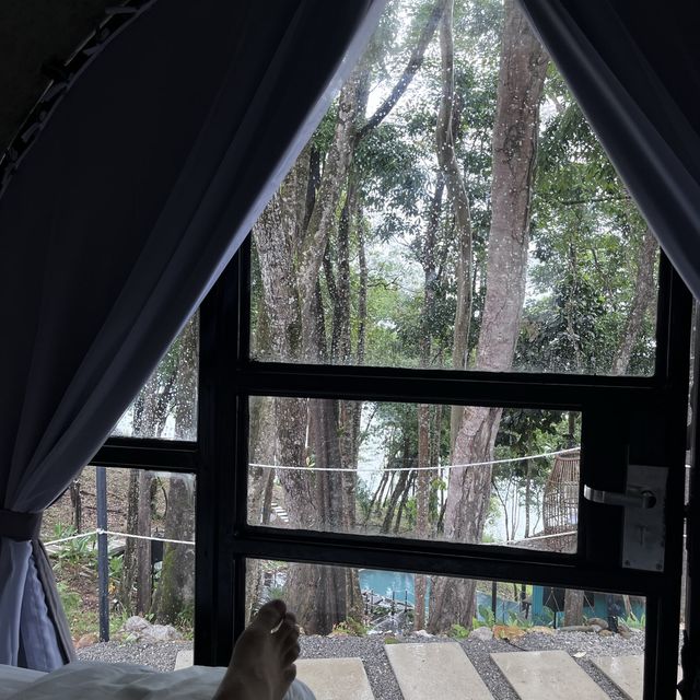 Enjoy the nature from room's wall