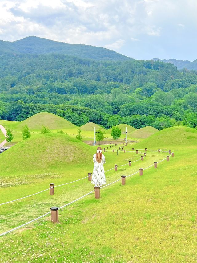 드넓은 초록빛, 창녕 교동 고분군🌿