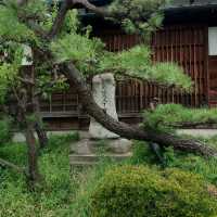 愛知旅行！名古屋市「祇園寺」と「東海道五十三次二代目松」
