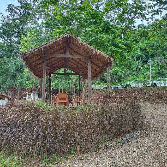 📍"หลงเขา"บ่อเกลือ น่าน คาเฟ่ริมธารแสนชิล
