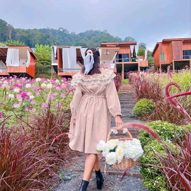 โฮมสเตย์เชียงใหม่ วิวสุดปัง ท่ามกลางสวนดอกไม้ เริ่มต้นคนละ 900 รวมอาหารเช้า🌷🌸🌹🌺