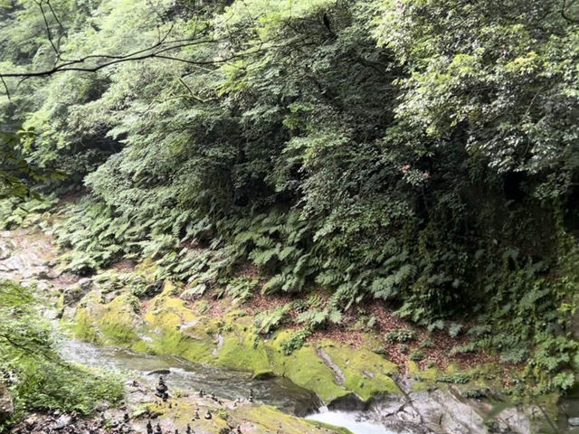 ⛩ 九州天岩戶神社：神聖的寺廟，自然的和諧 🌿