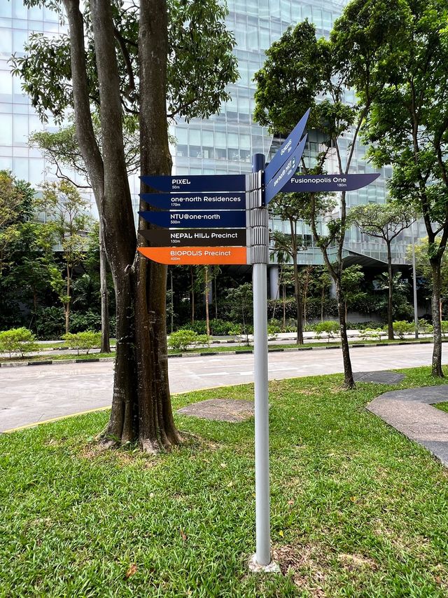 🚶‍♂️ City Walk Adventure at One-North 🇸🇬