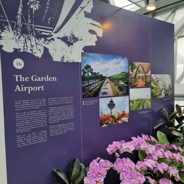 The Making of Changi Airport Story 🛫