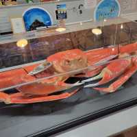 去日本一定要去魚市場！賀露港海鮮市