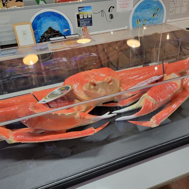 去日本一定要去魚市場！賀露港海鮮市
