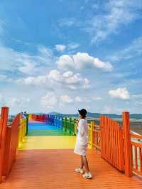 일곱빛깔무지개🌈이런 다리 본적있나요?