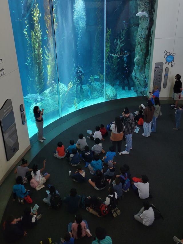 Aquarium of the Pacific 🐠✨