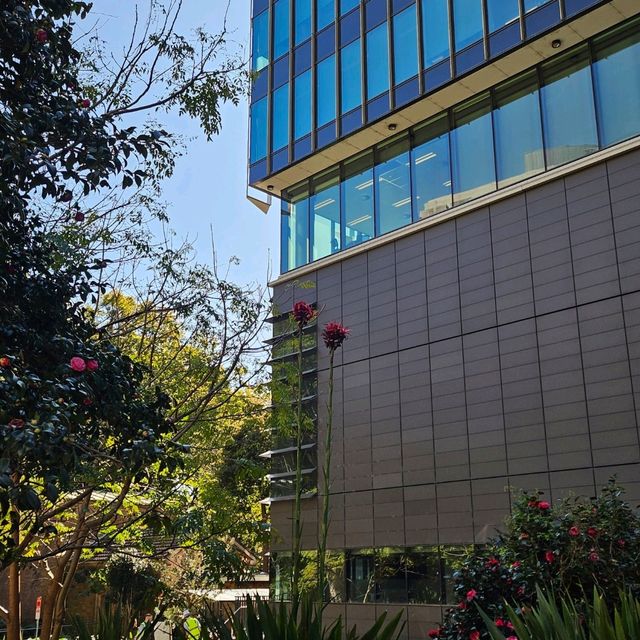 參觀澳洲歷史最悠久的大學🏫