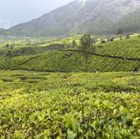 PARADISE OF KERALA
