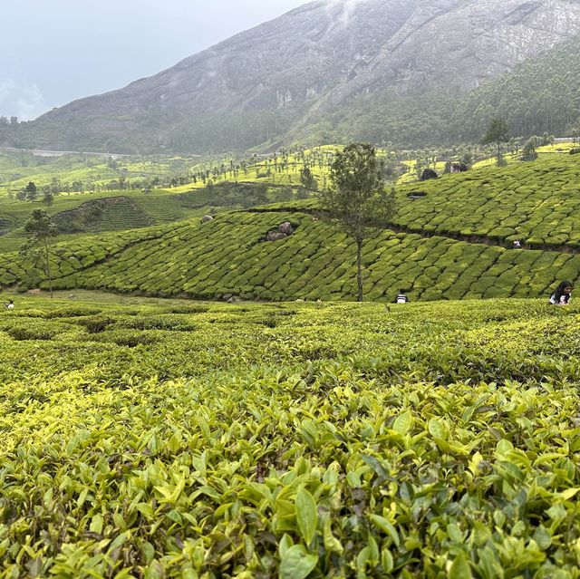PARADISE OF KERALA