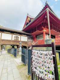 【東京都/清水観音堂】清水寺を彷彿させるお堂