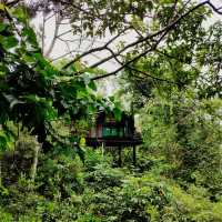 Permai Rainforest Resort