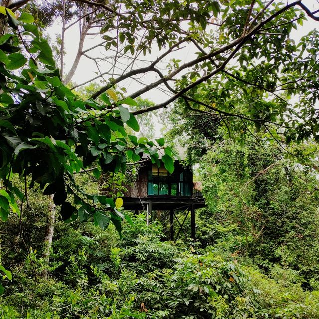 Permai Rainforest Resort