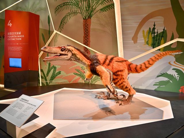 香港科學館古生物展廳「滅絕．新生」展覽展出珍貴動植物化石