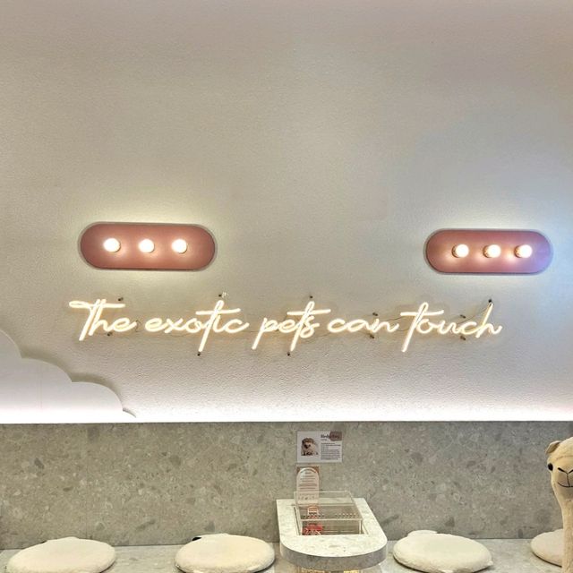 Belle Cafe 🦫 @Central Sri Racha